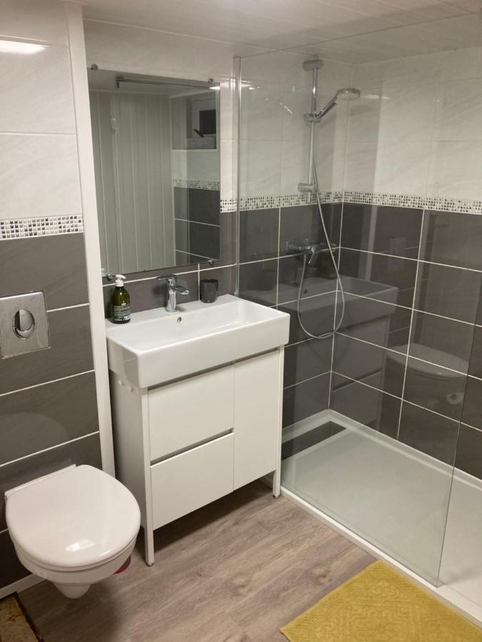 Appartement En Rez-De-Chaussee De Maison Montanay Dış mekan fotoğraf